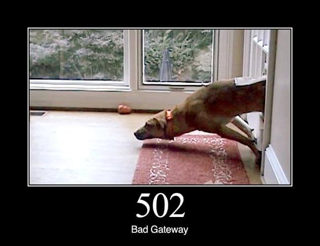 502 Bad Gateway