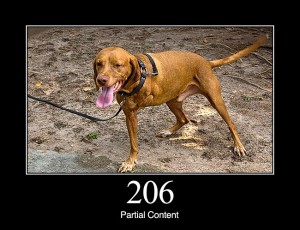 206 Partial Content