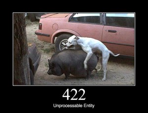 422 Unprocessable Entity