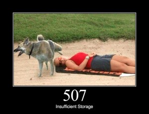 507 Insufficient Storage