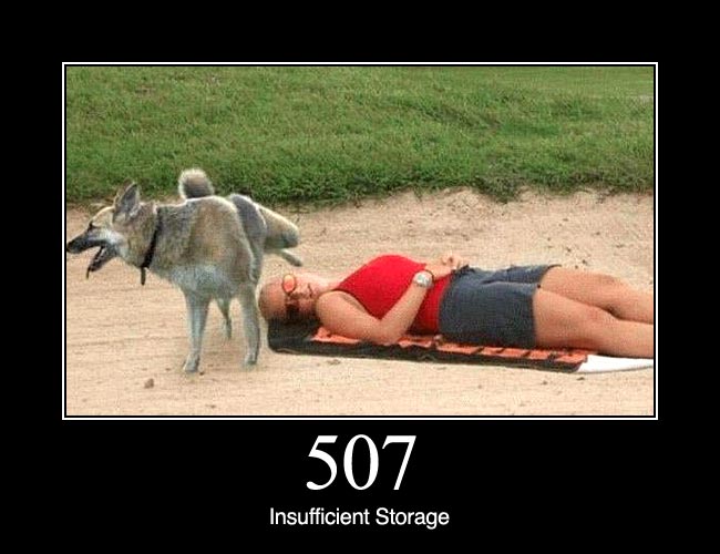 507 Insufficient Storage