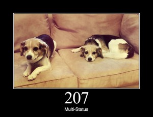 207