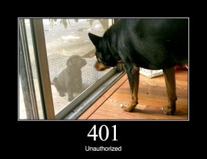 401 Unauthorized