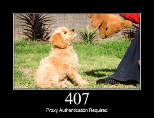 407