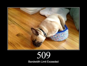 509