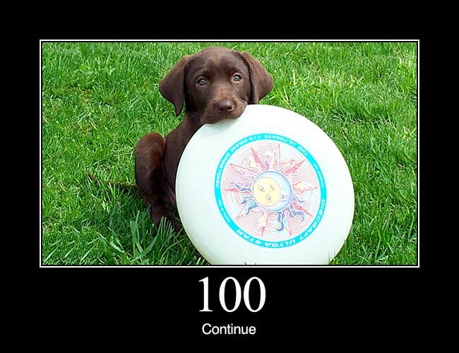 100 Continue