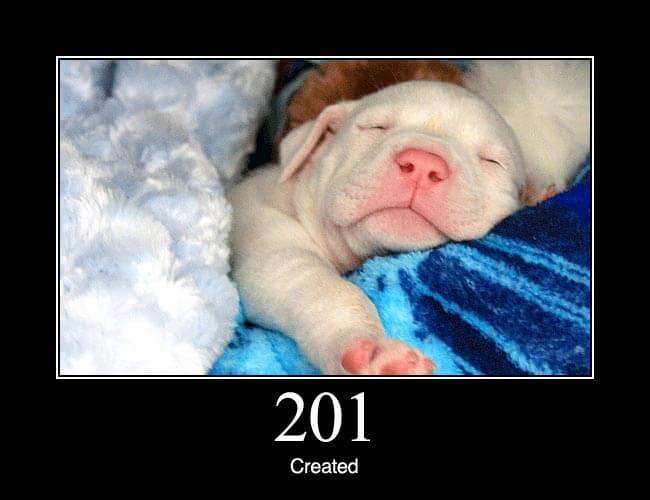 201 Created