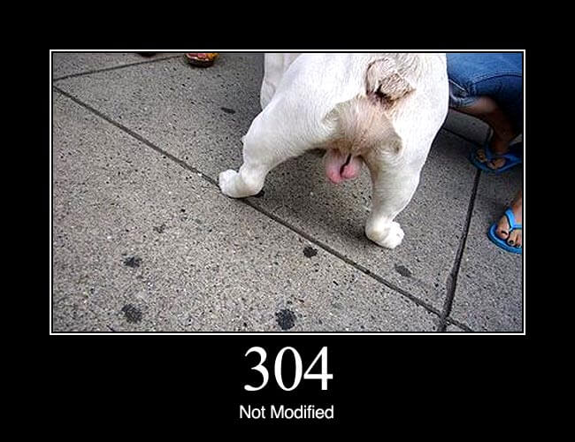 304 Not Modified