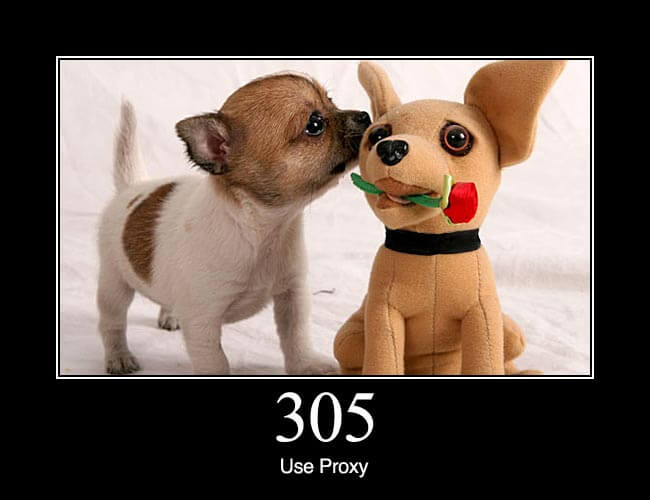 305 Use Proxy