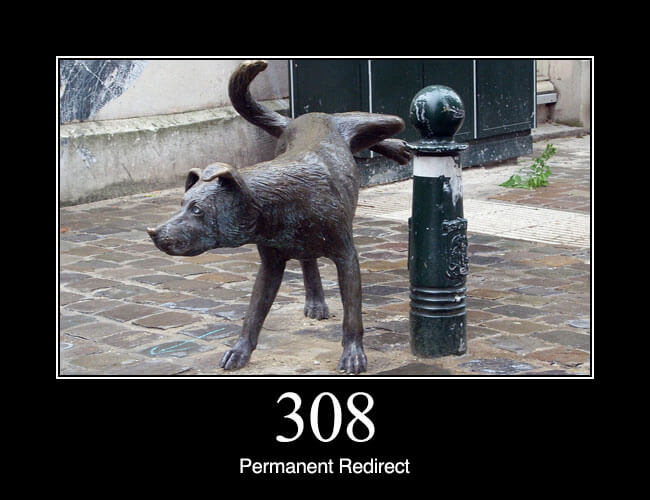 429 Too Many Requests - HTTP status code and dogs!