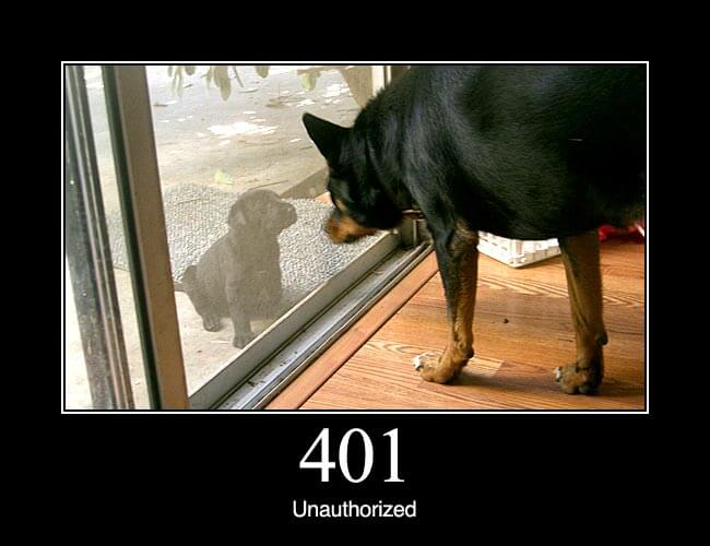 429 Too Many Requests - HTTP status code and dogs!