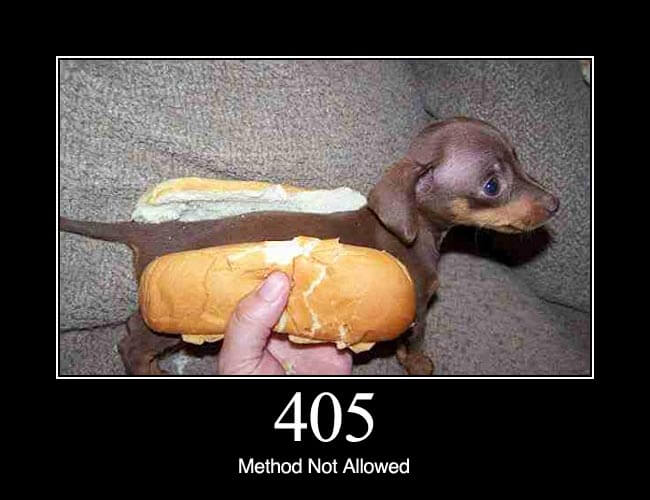 405 Method Not Allowed HTTP Status Dogs