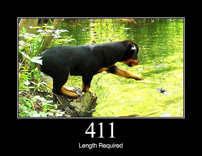 411 Length Required