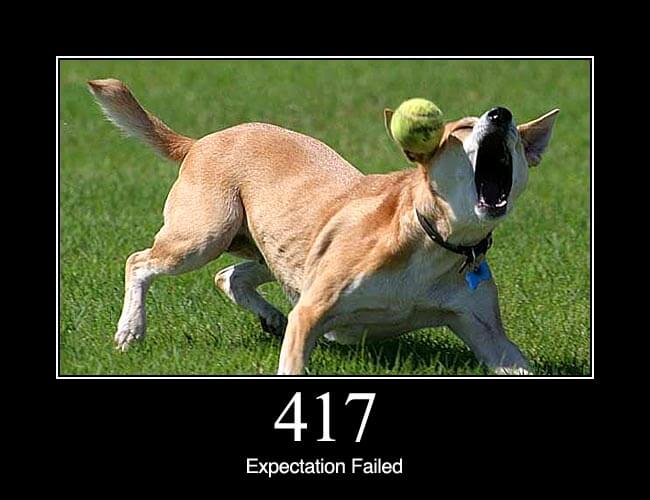 417 Expectation Failed