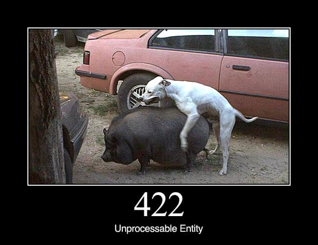 422 Unprocessable Entity
