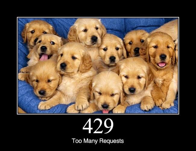 429 Too Many Requests