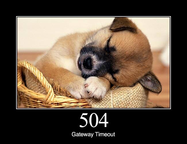 504 Gateway Timeout - HTTP Status Dogs