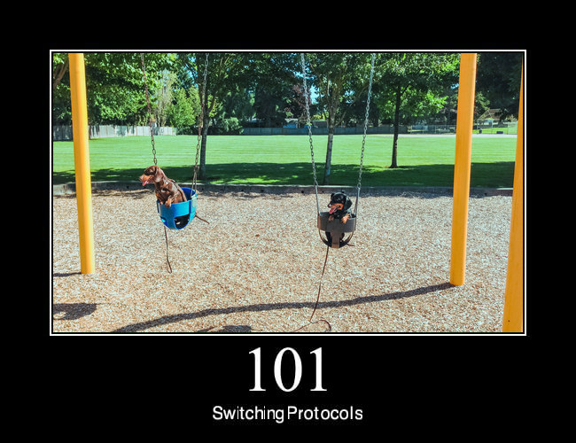 101 Switching Protocols