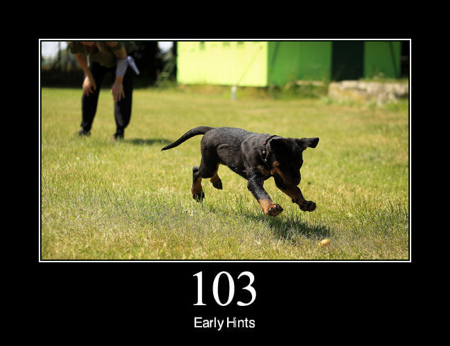 103 Early Hints