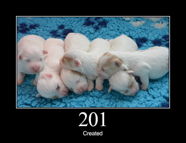 201 Created