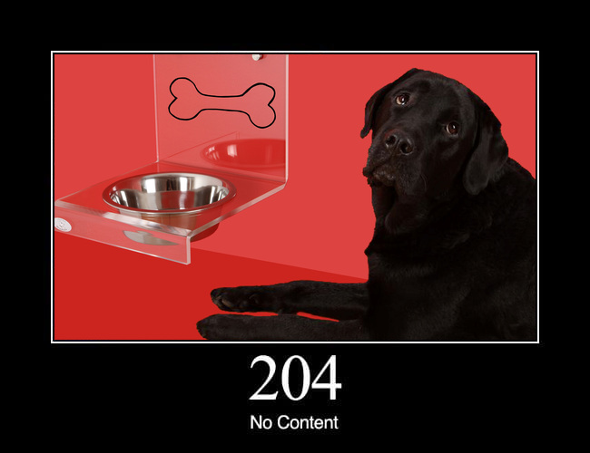 204 No Content