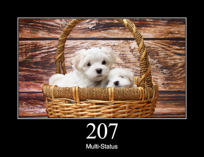 207 Multi-Status
