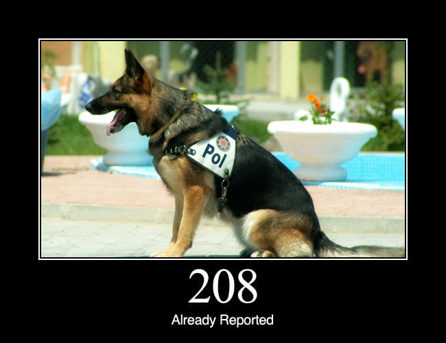 208 Already Reported