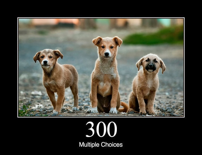 300 Multiple Choices