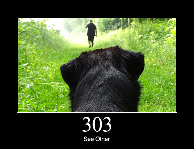 303 See Other