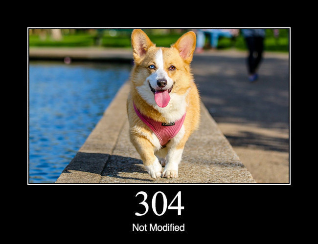 304 Not Modified