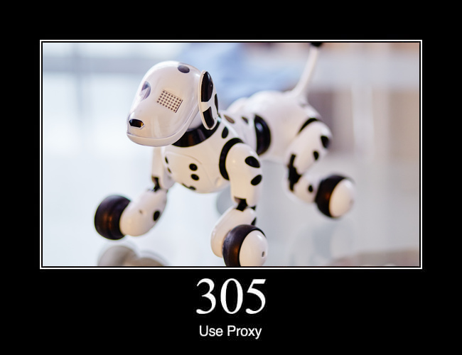 305 Use Proxy