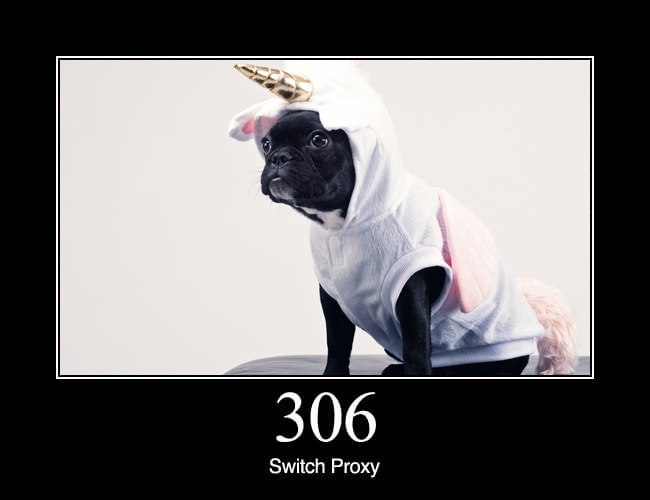 306 Switch Proxy