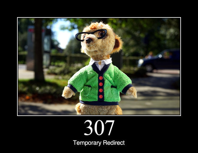 307 Temporary Redirect
