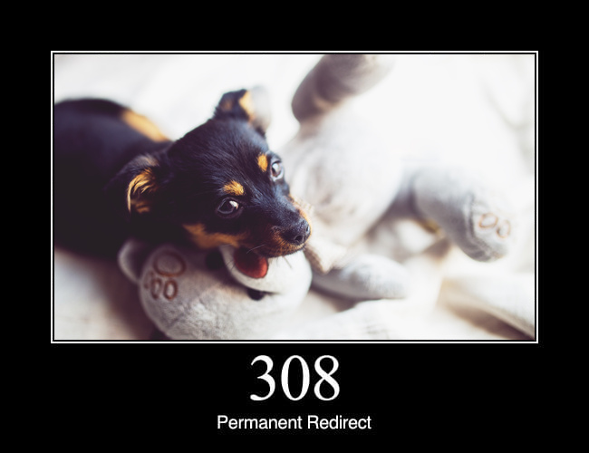308 Permanent Redirect