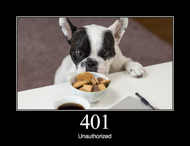 401 Unauthorized