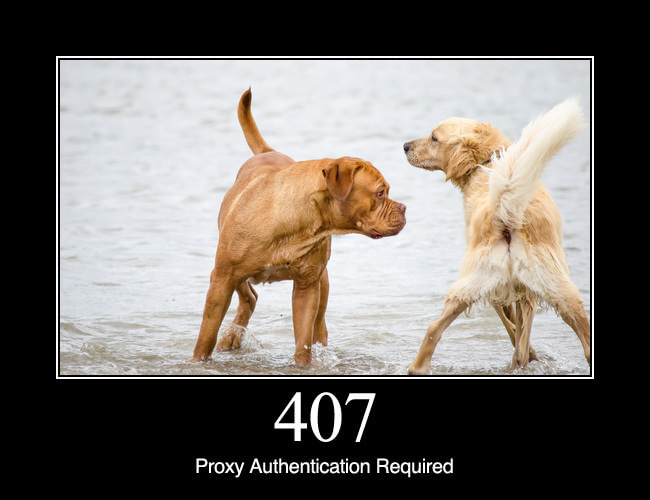 407 Proxy Authentication Required