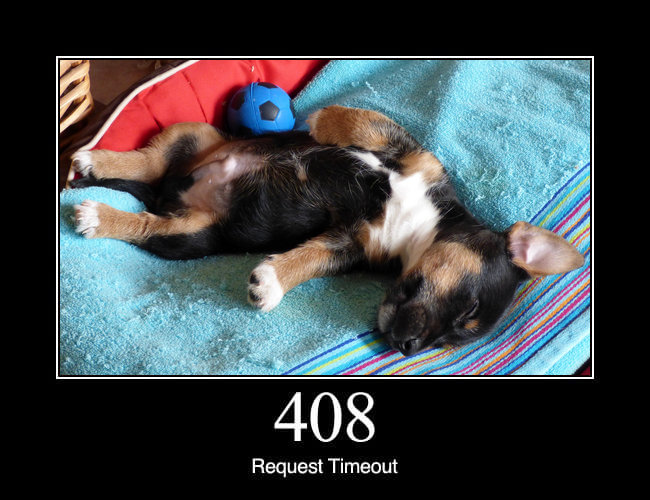 408 Request Timeout