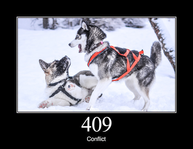 409 Conflict