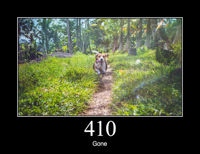 410 Gone