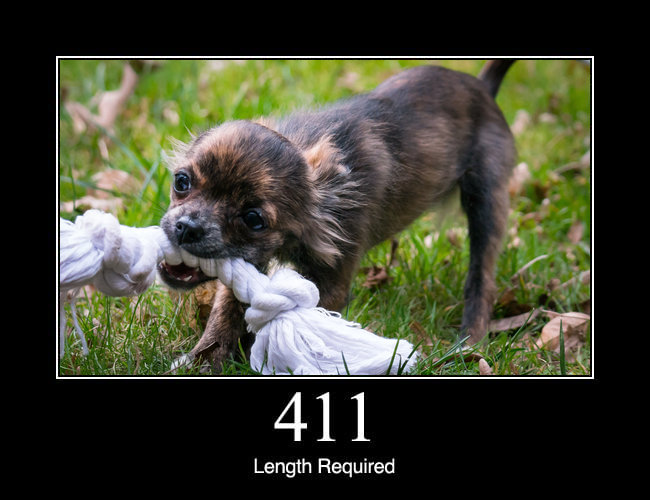 411 Length Required
