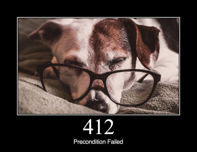 412 Precondition Failed