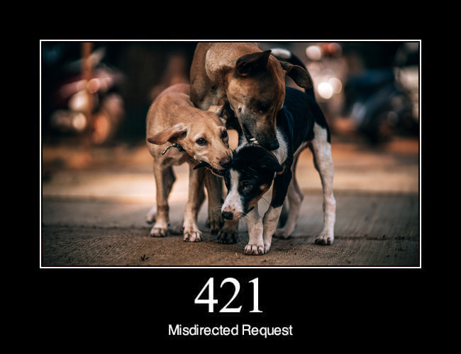 421 Misdirected Request