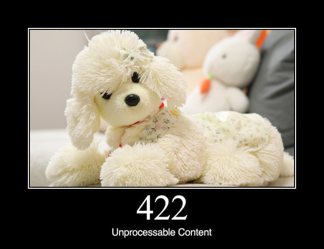 422 Unprocessable Content