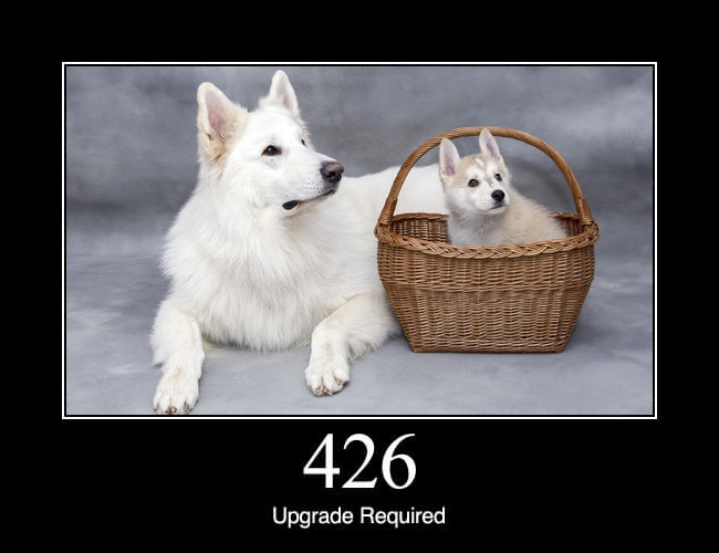 426 Upgrade Required