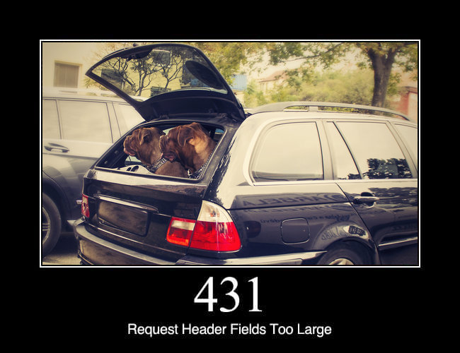 431 Request Header Fields Too Large