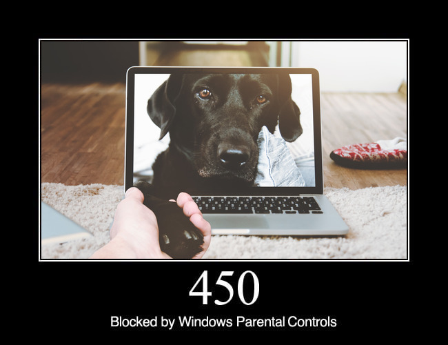 450 Blocked by Windows Parental Controls