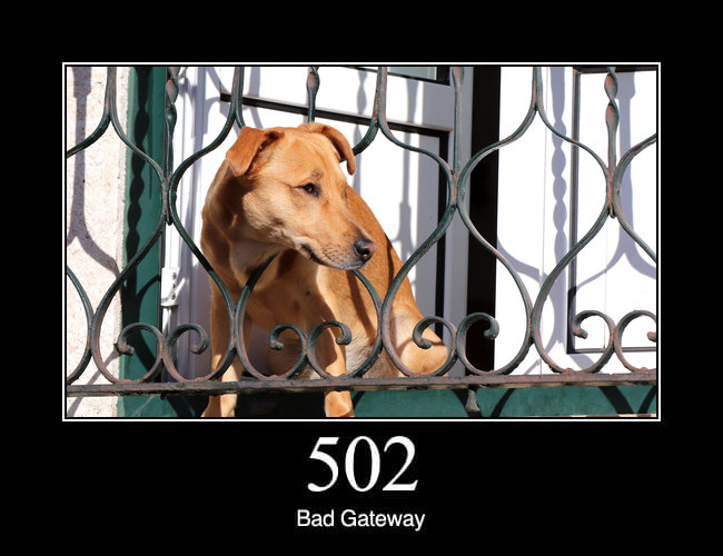 502 Bad Gateway