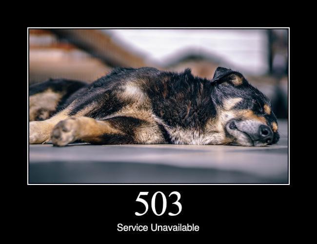 503 Service Unavailable