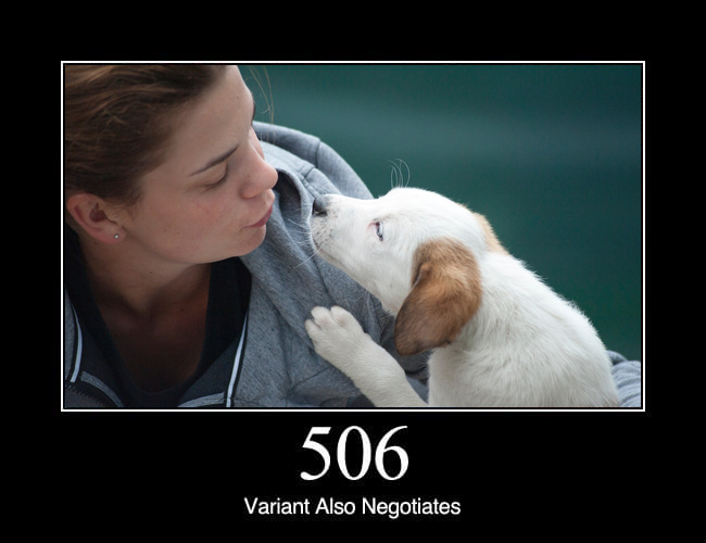 506 Variant Also Negotiates