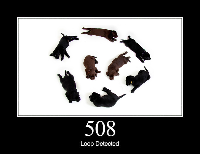 508 Loop Detected